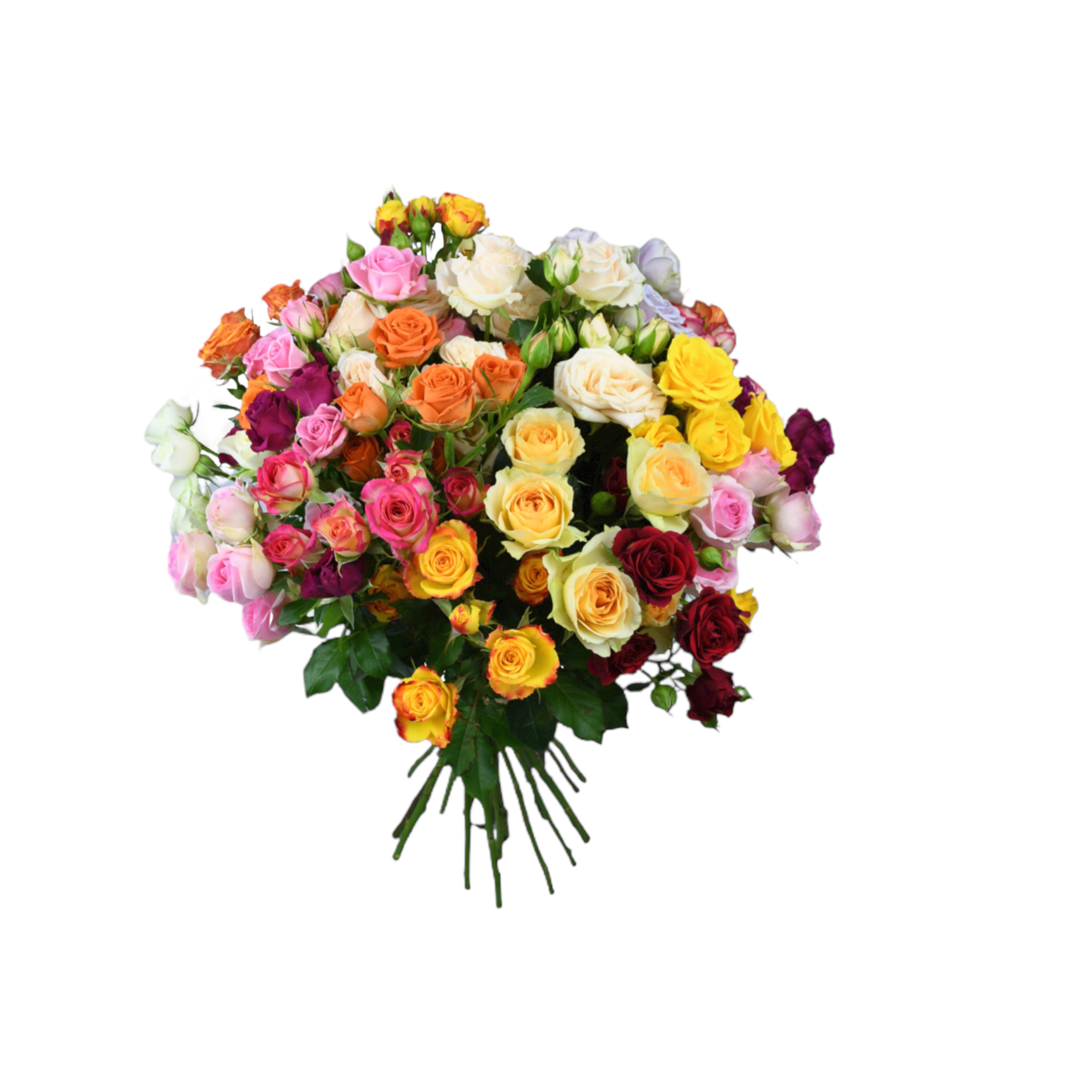 Spray Roses Medley